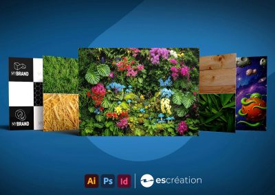 Création de ressources pour Adobe Stock 2026